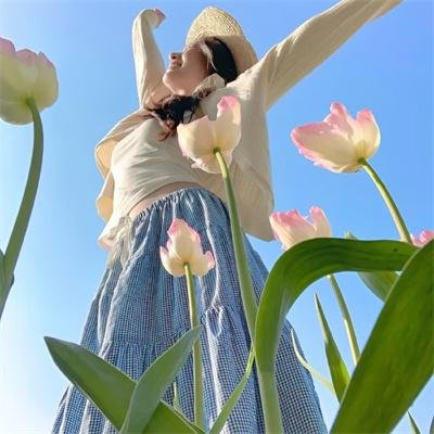 红鲨突击